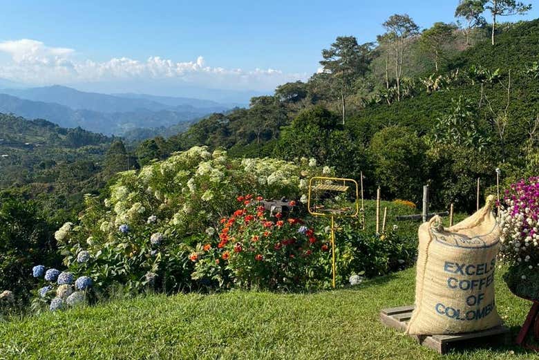 Les somptueux paysages de Jardín