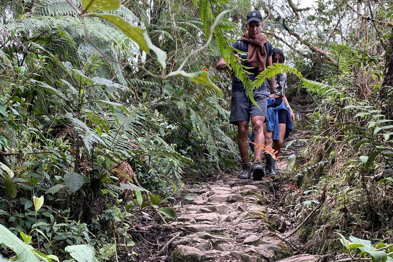 Descubriremos la naturaleza local