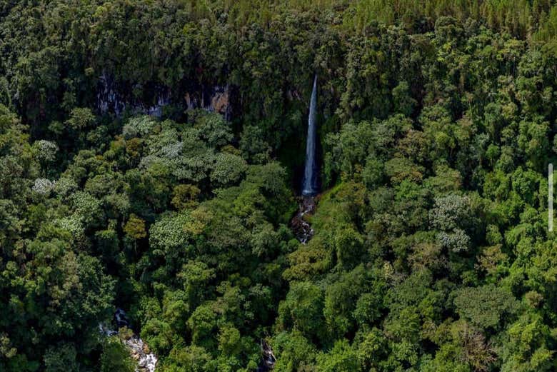 Impresionante caída de agua en medio de la selva