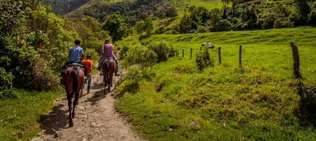 Balade à cheval à Jardín