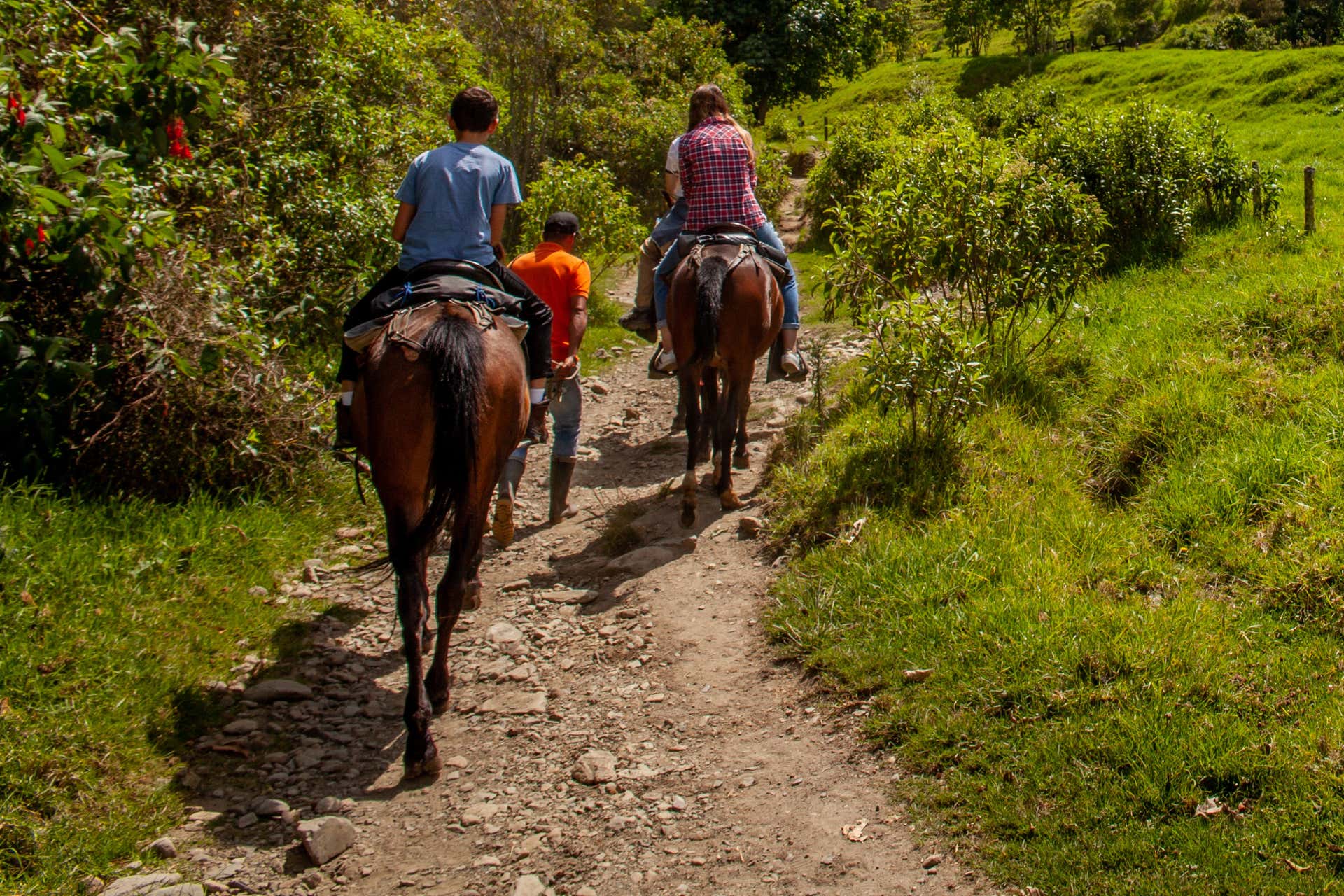 Balade à cheval à la cascade de Chorro Blanco depuis Jardín