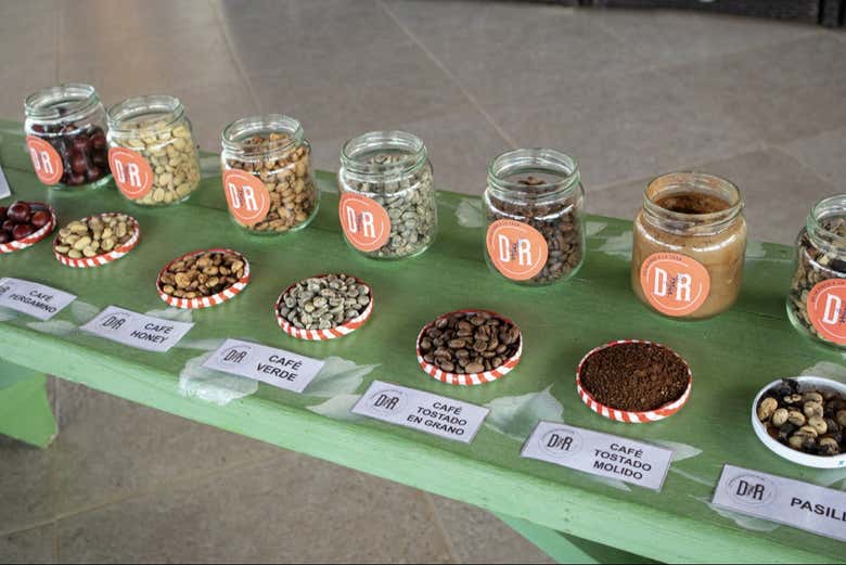 Try out different types of coffee