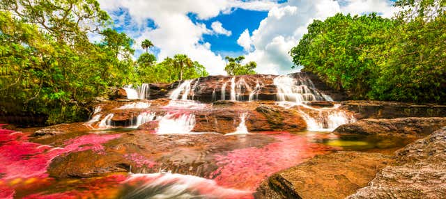 Caño Cristales Day Trip