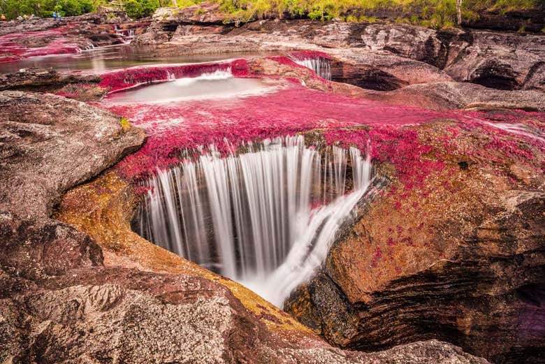 Cascada del Caño Cristales
