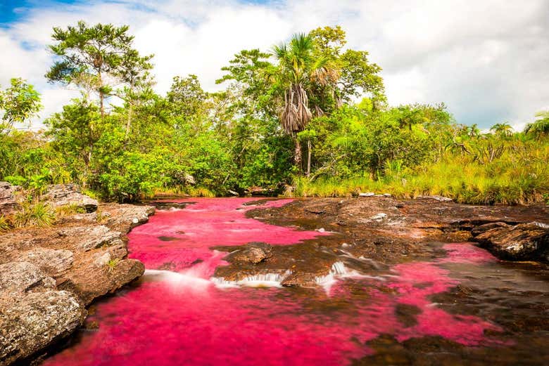 Colores del Caño Cristales