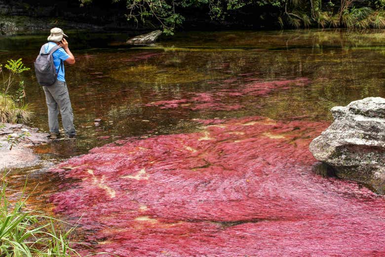 Visitando el Caño Cristales