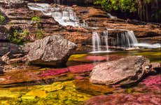 Tour de 3, 4 ou 5 dias por Caño Cristales e serra de La Macarena