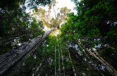 Excursão à Reserva Natura Park