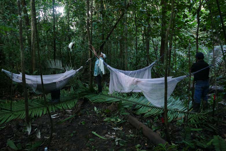 Camping in the Amazon rainforest