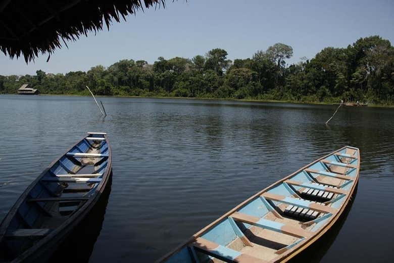 Amazon River as it passes through the reserve