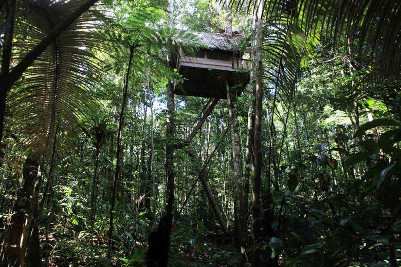 A tree house in Tanimboca
