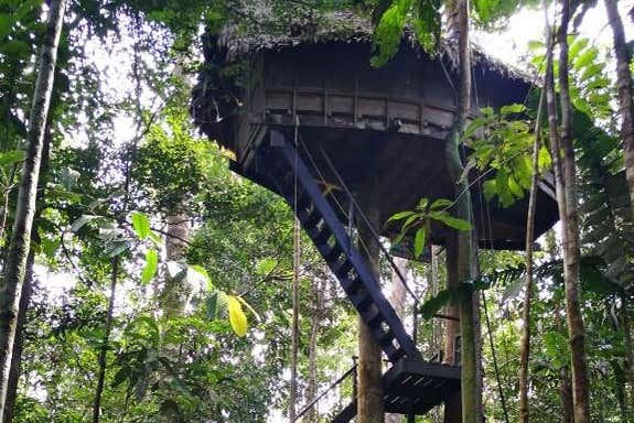 Dormiréis en mitad de la selva