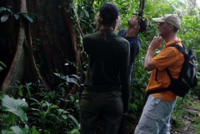 Conhecendo a fauna do Amazonas