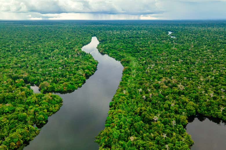 Río atravesando un paraje selvático