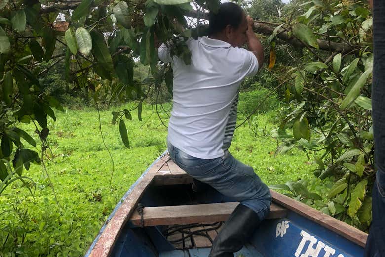 Seguindo o guia pela floresta