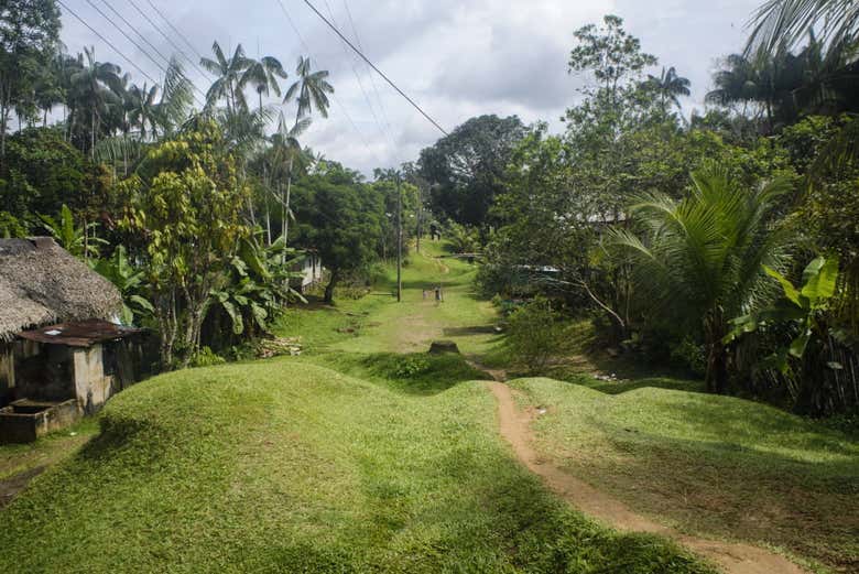 Green meadows surrounding Puerto Nariño