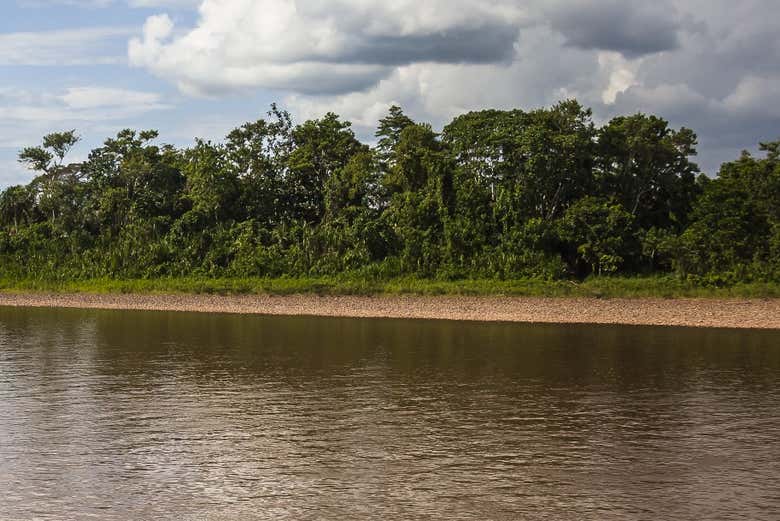 Canals in the Amazon rainforest