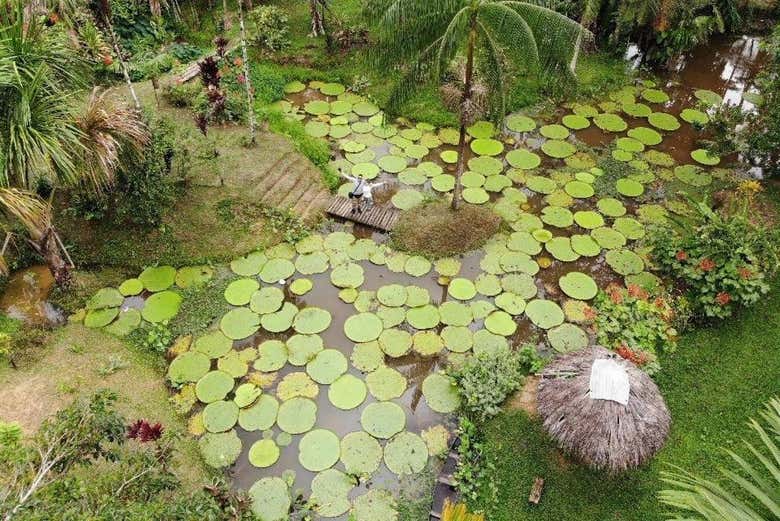 Paysages de la réserve Natura Park