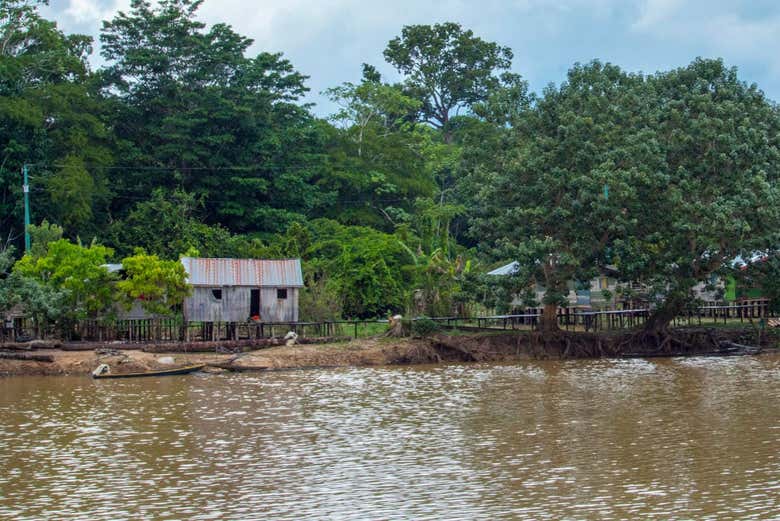 The landscapes of the Yavarí river