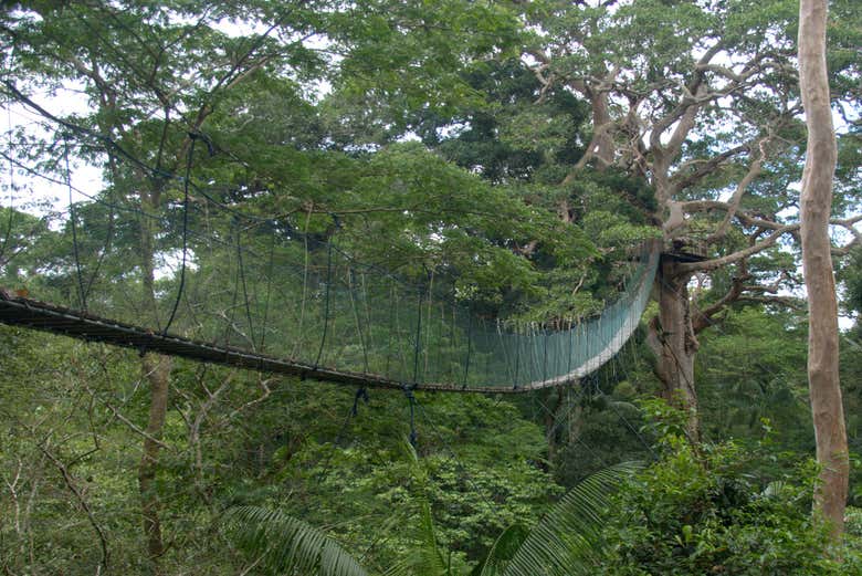 Uno de los puentes colgantes de  la Reserva Natural Marasha