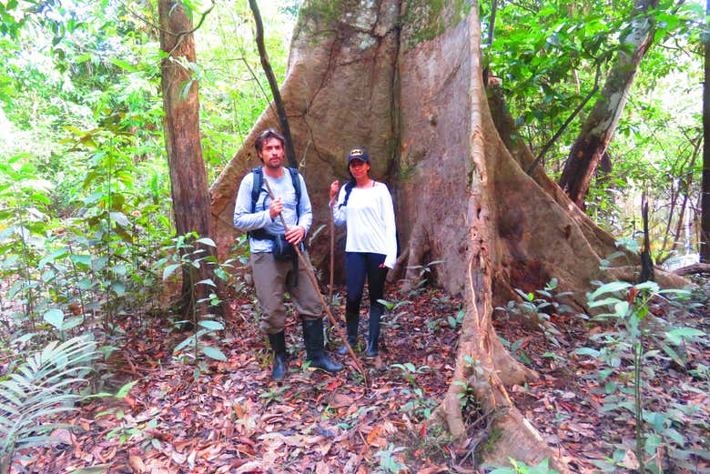 Tour pela floresta amazônica