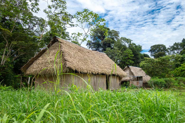 Você ficará encantado com a visita à maloca!