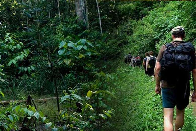 Hiking in Tanimboca