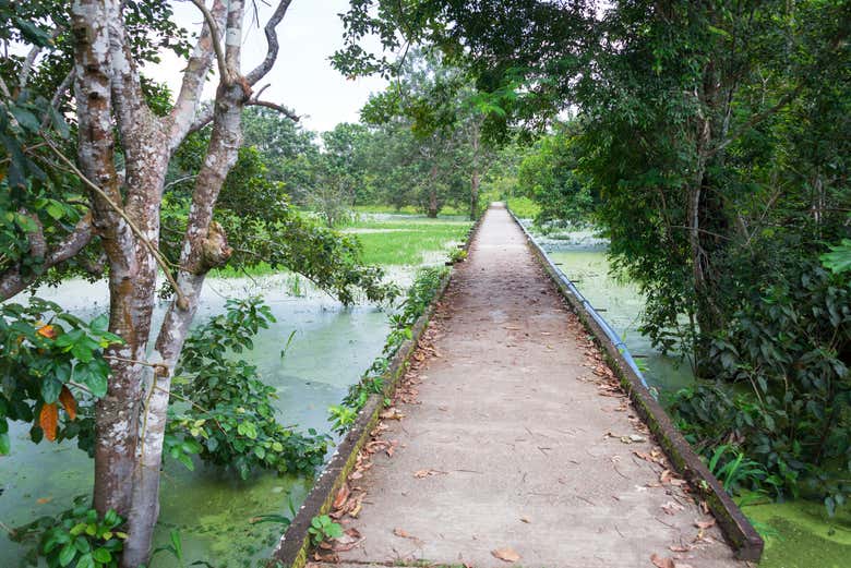 Uno de los senderos de la selva de Leticia
