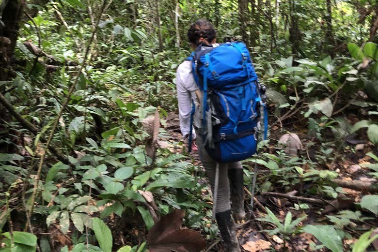 Durante o tour pelo Amazonas