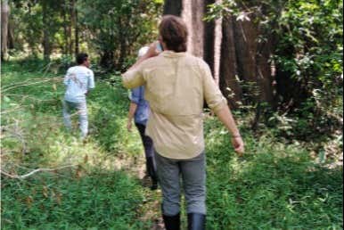 Percorrendo a floresta amazônica