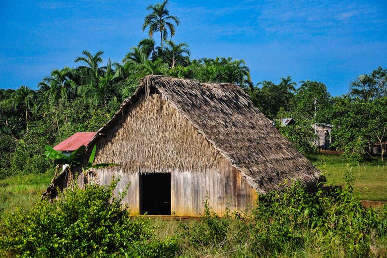 Vivienda o maloca indígena