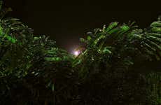 Trekking serale in Amazzonia