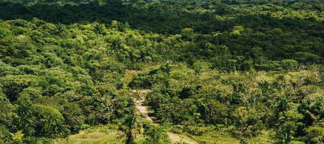 Amazon Hiking Tour