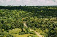 Amazon Hiking Tour