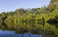 Excursão à floresta amazônica