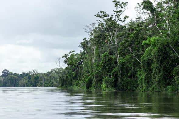 Tour di 3 giorni nella foresta amazzonica