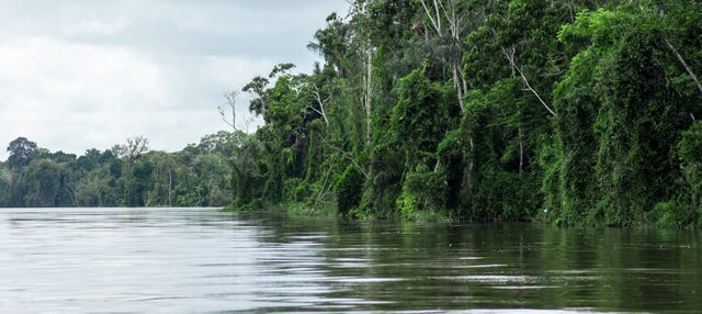 3-Day Amazon Rainforest Tour