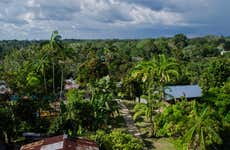 Tour de 4 días por Puerto Nariño y Mocagua