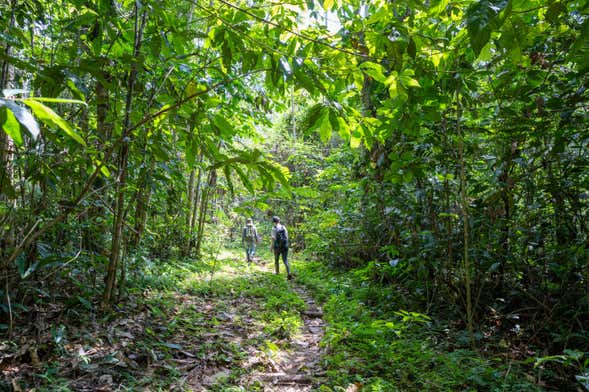 Tour por la selva amazónica y el río Takana