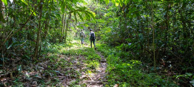 Tour pela floresta amazônica e o rio Takana