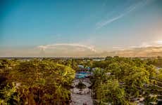 Tour pelo Amazonas