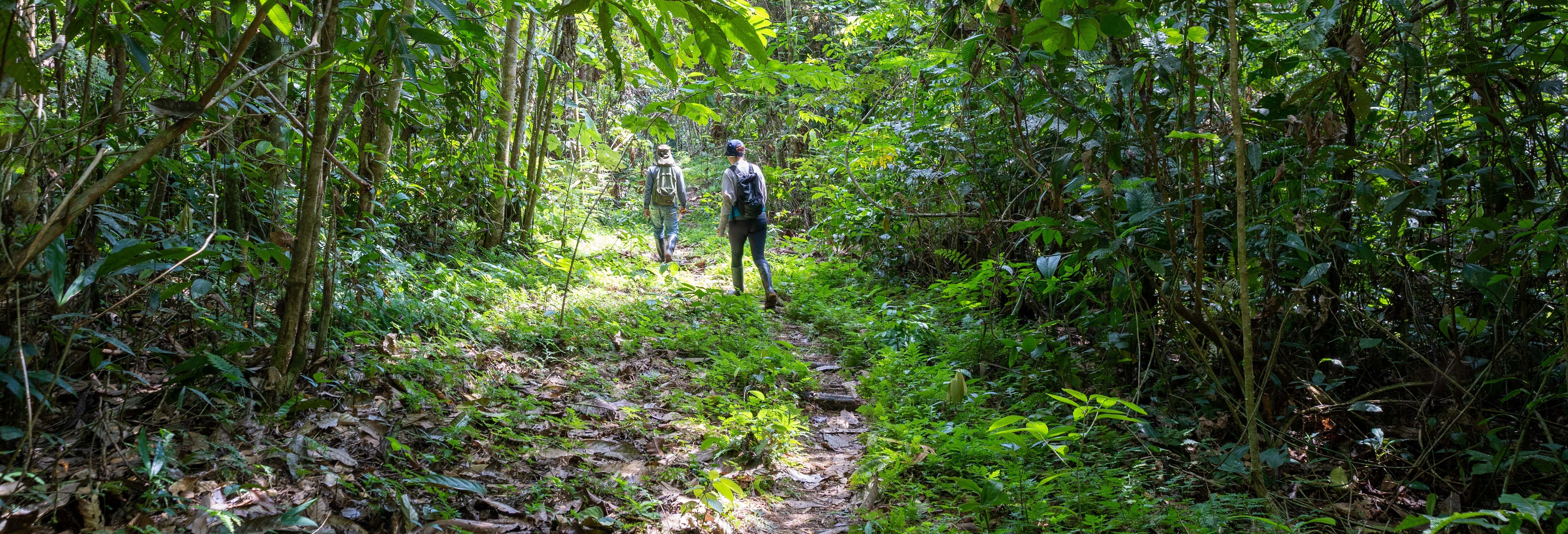 Excursiones de un día en Leticia