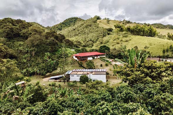 Excursión privada a la finca La Mina