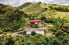 Excursión privada a la finca La Mina