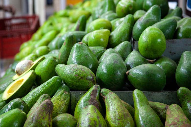 Aguacates colombianos