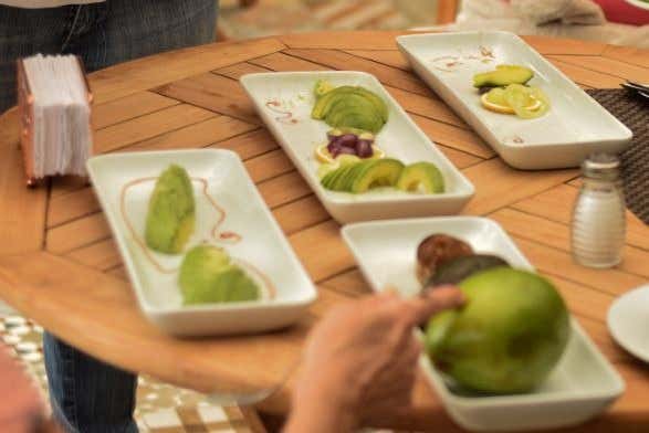Degustación de aguacates