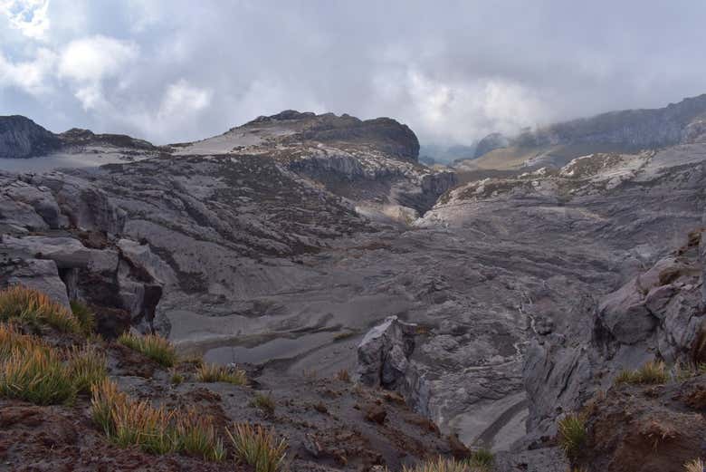 Paisaje del Parque Nacional Natural Los Nevados