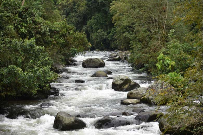 Rio Otún