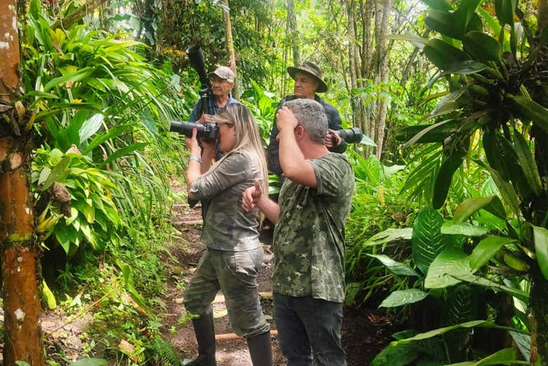 Tratando de identificar distintas aves
