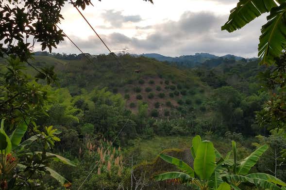 Excursión privada a la finca El Tesoro